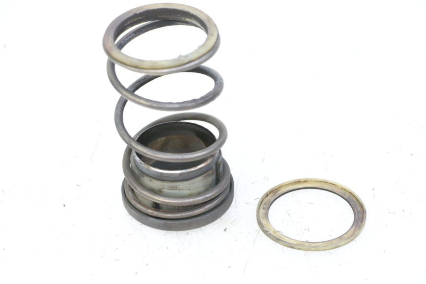 photo de CLUTCH SPRING HONDA FORZA ABS 300 (2013 - 2019)