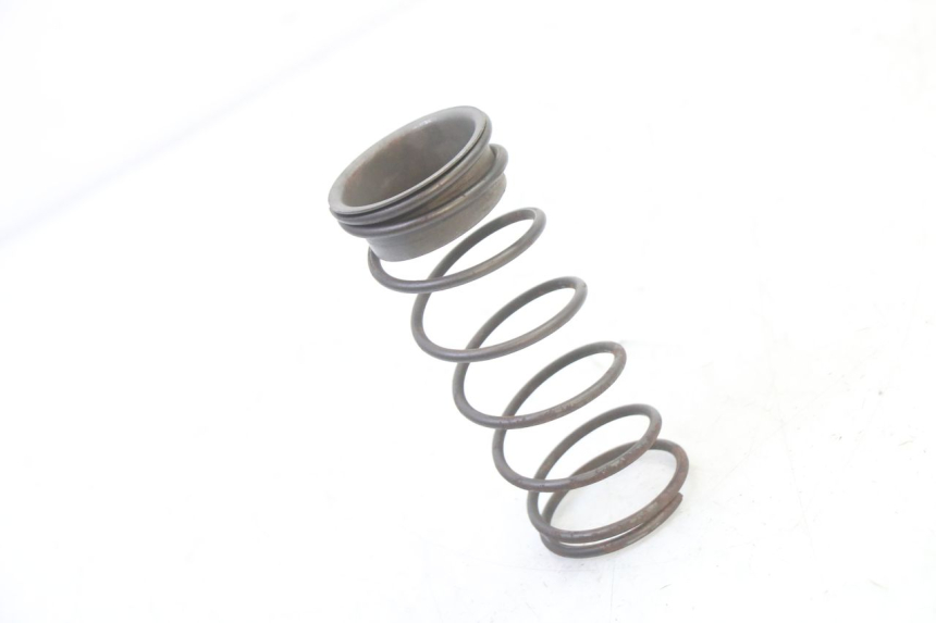 photo de CLUTCH SPRING HYTRACK S 150 (2003 - 2011)