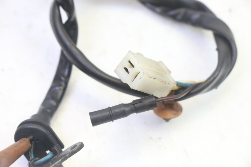 photo de ROTOR STATOR PEUGEOT ELYSTAR 50 (2002 - 2014)