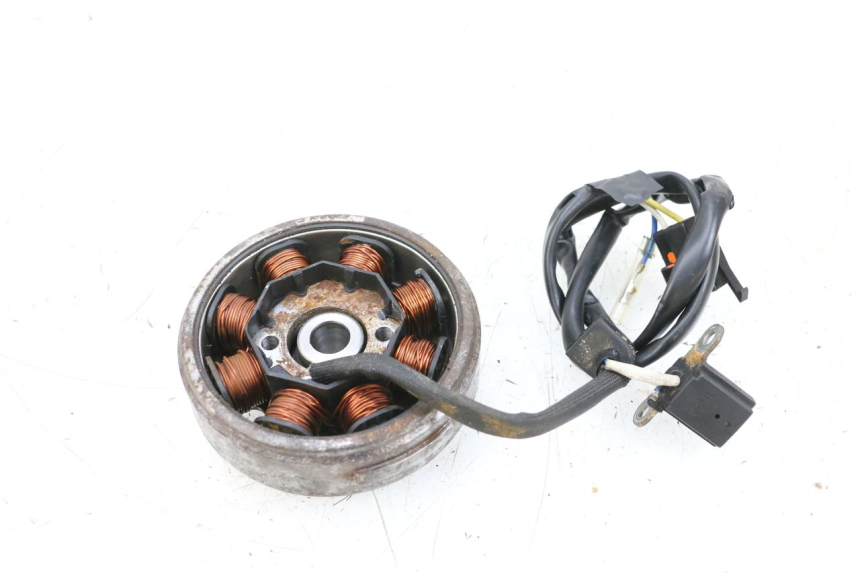 photo de ROTOR STATOR SYM ORBIT 2 50 (2008 - 2014) - Zoom on usage condition