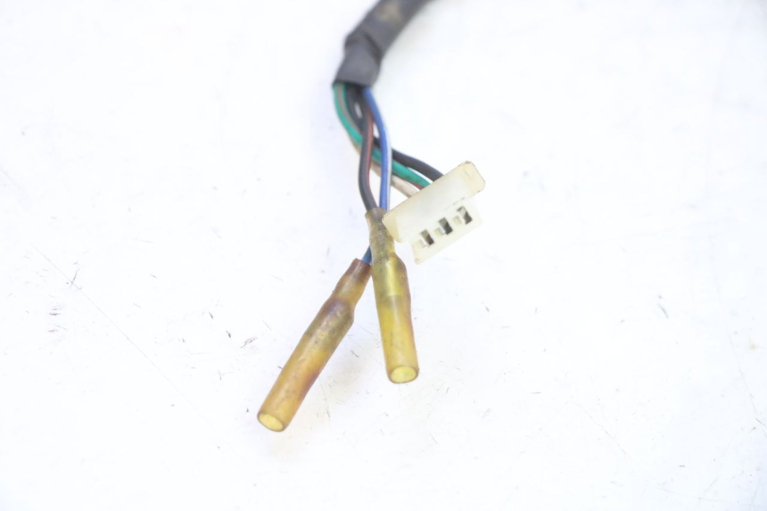 photo de ROTOR STATOR IMF INDUSTRIE PACH 2T 50 (2009 - 2018)