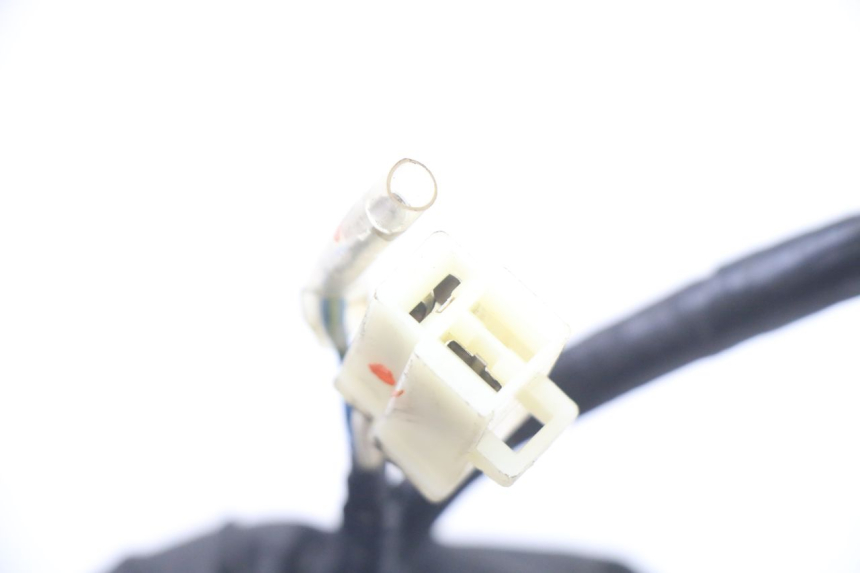 photo de ROTOR STATOR PEUGEOT TWEET 4T 50 (2018 - 2020)