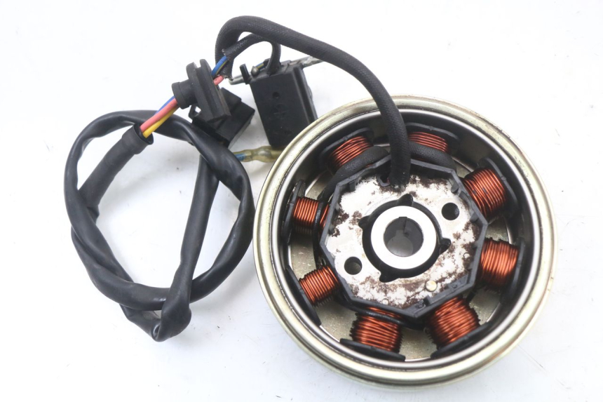 photo de ROTARY STATOR BEELINE VELOCE 4T 50 (2011 - 2020)
