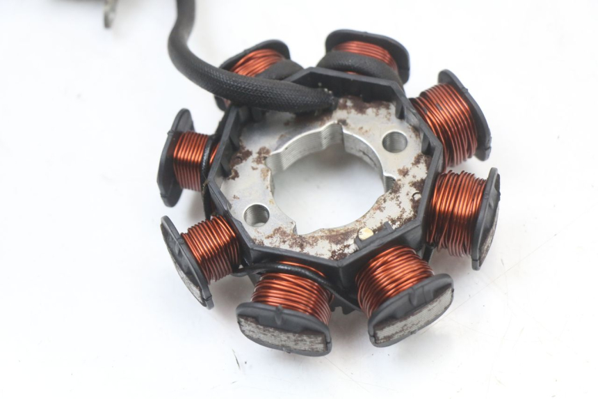 photo de ROTARY STATOR BEELINE VELOCE 4T 50 (2011 - 2020)