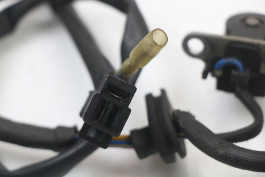 photo de ROTARY STATOR BEELINE VELOCE 4T 50 (2011 - 2020)