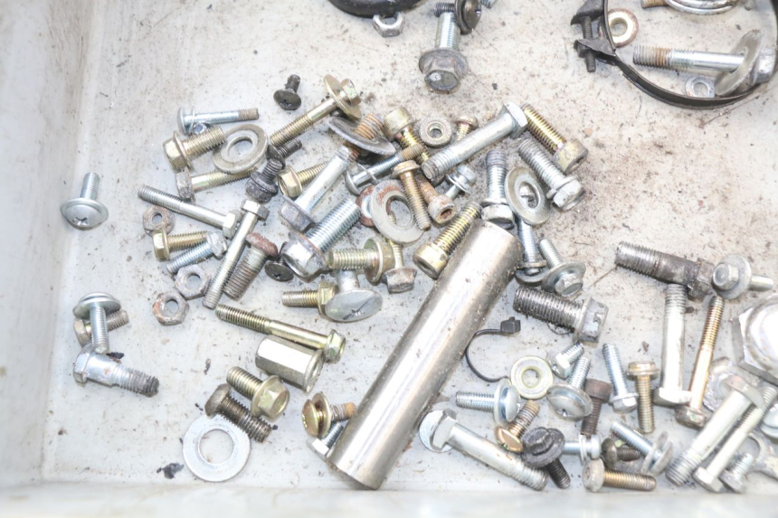 photo de SCREWS BAG HYOSUNG AQUILA GV 125 (2009 - 2016)
