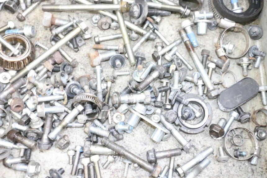 photo de SCREWS BAG SUZUKI BURGMAN 650 (2013 - 2020)