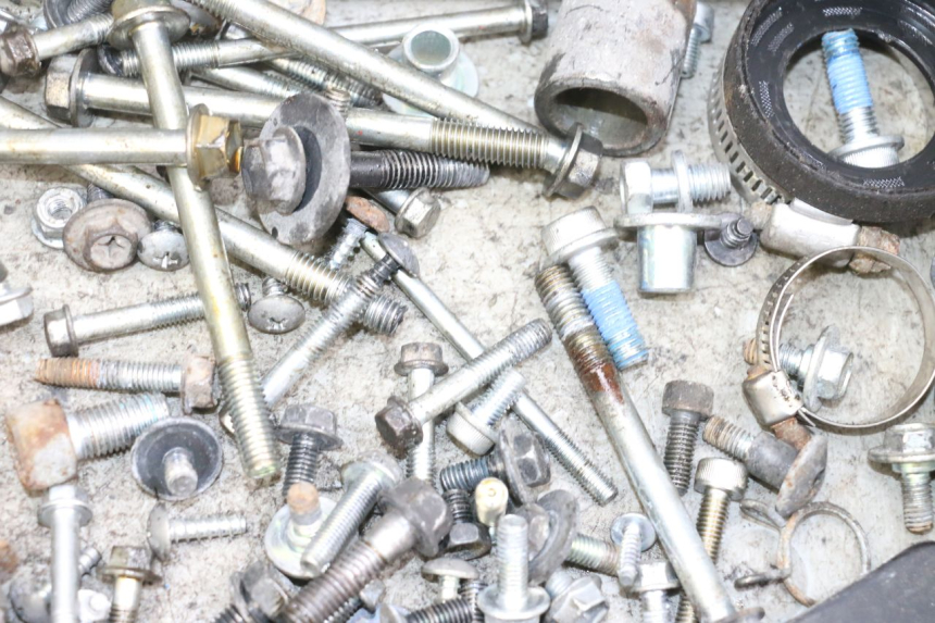 photo de SCREWS BAG SUZUKI BURGMAN 650 (2013 - 2020)