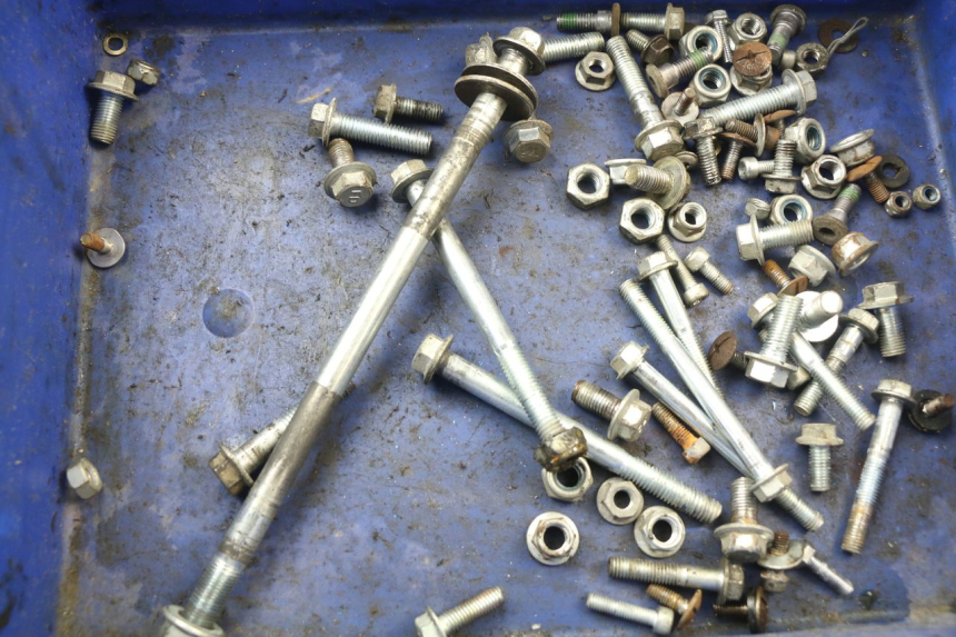 photo de SCREWS BAG CHINESE QUAD DIAMOND R 250 (2005 - 2010)