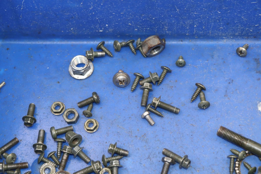 photo de SCREWS BAG SACHS EAGLE 50 (2007 - 2010)