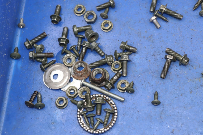 photo de SCREWS BAG SACHS EAGLE 50 (2007 - 2010)
