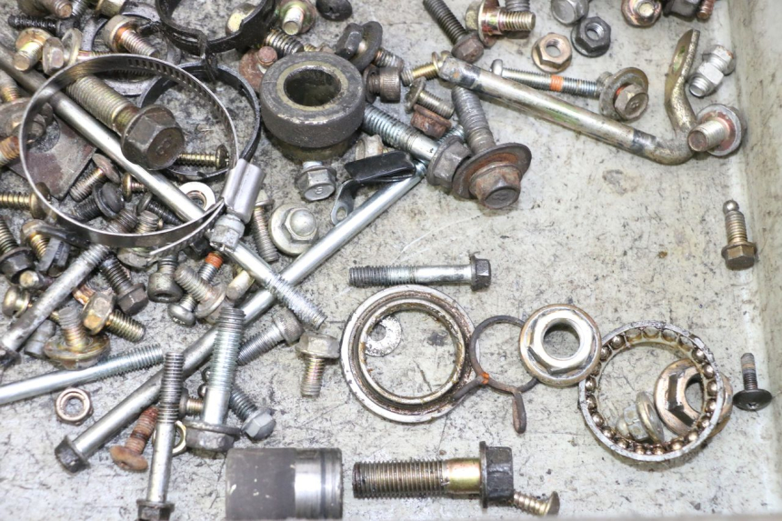 photo de SCREWS BAG DAELIM HISTORY 125 (2001 - 2002)