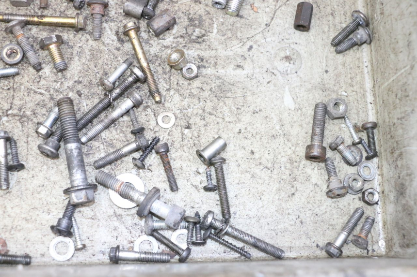 photo de SCREWS BAG PIAGGIO LIBERTY 125 (1998 - 2008)