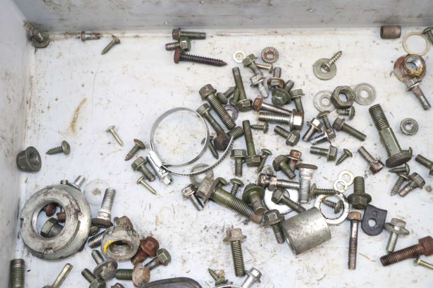 photo de SCREWS BAG GINELLI LJ50QT 2T 50 (2009 - 2012)