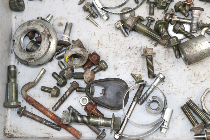 photo de SCREWS BAG GINELLI LJ50QT 2T 50 (2009 - 2012)