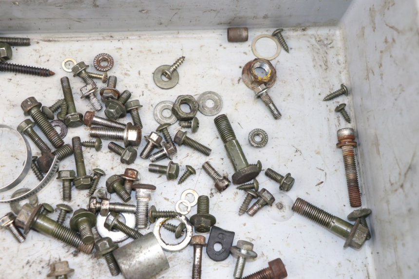 photo de SCREWS BAG GINELLI LJ50QT 2T 50 (2009 - 2012)