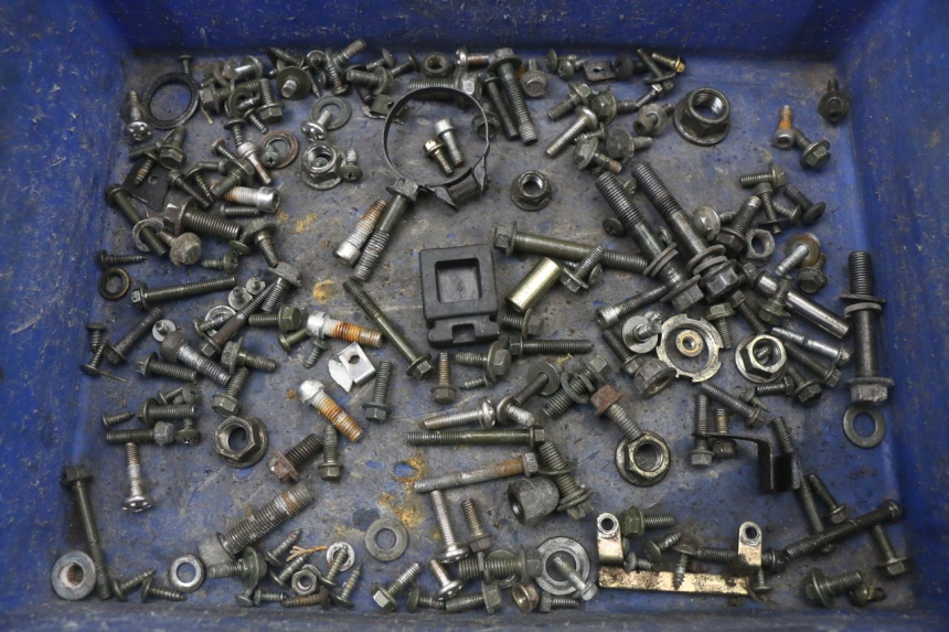 photo de SCREWS BAG LONGJIA EASY MAX 125 (2020 - 2024)