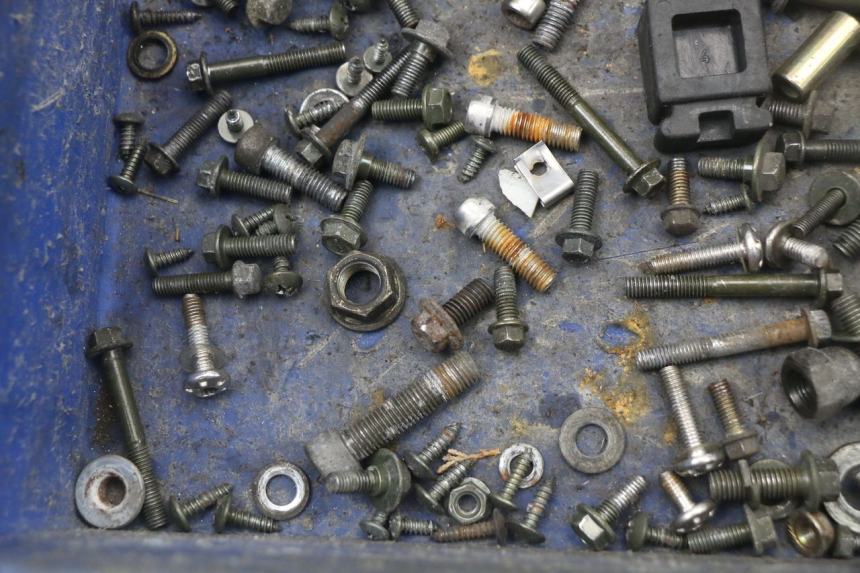 photo de SCREWS BAG LONGJIA EASY MAX 125 (2020 - 2024)