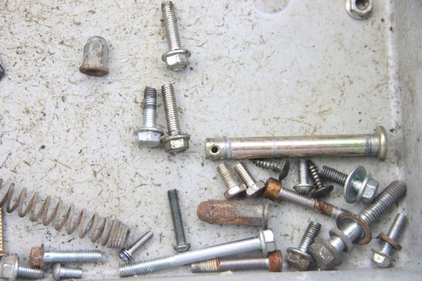 photo de SCREWS BAG VENESI LOWIGI RETRO JJ50QT-3 50 (2020 - 2022)