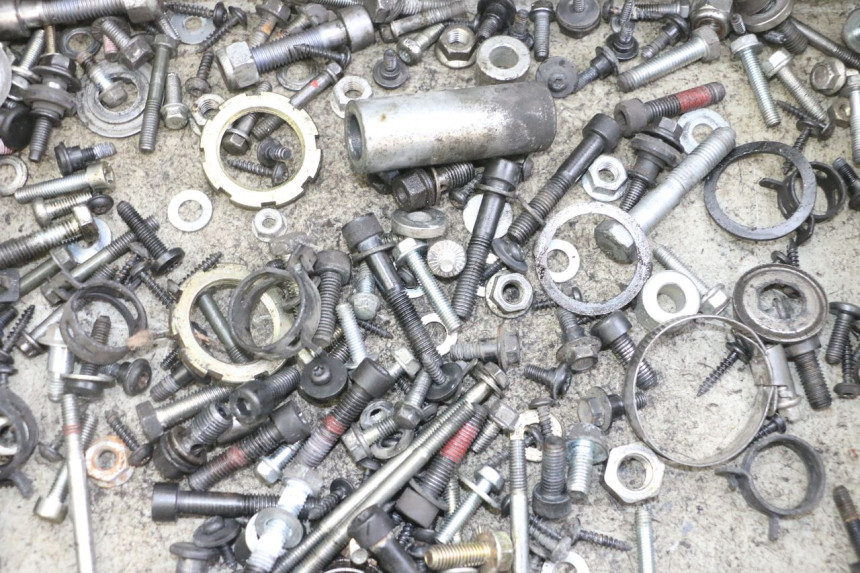 photo de SCREWS BAG PEUGEOT SATELIS 125 (2013 - 2018)
