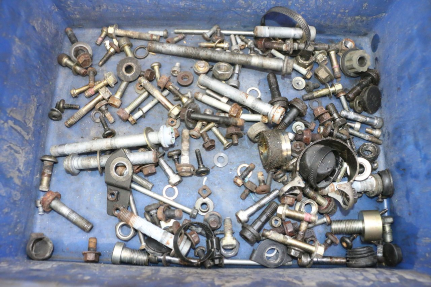 photo de SCREWS BAG TRIUMPH SPRINT 900 (1995 - 1998)