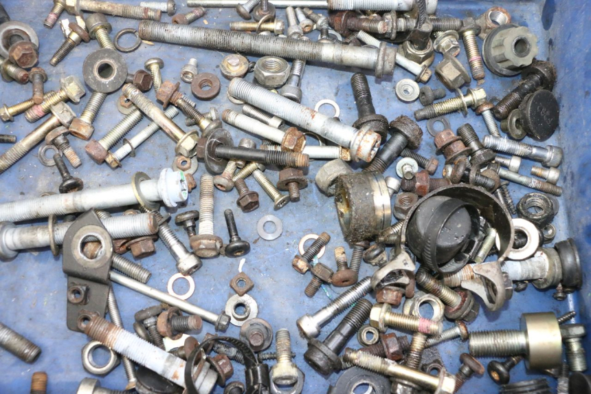 photo de SCREWS BAG TRIUMPH SPRINT 900 (1995 - 1998)