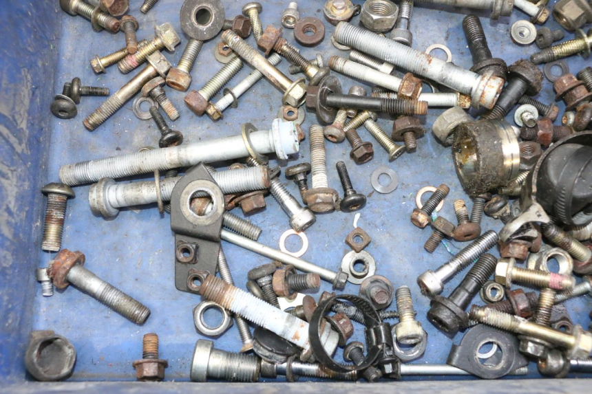 photo de SCREWS BAG TRIUMPH SPRINT 900 (1995 - 1998)