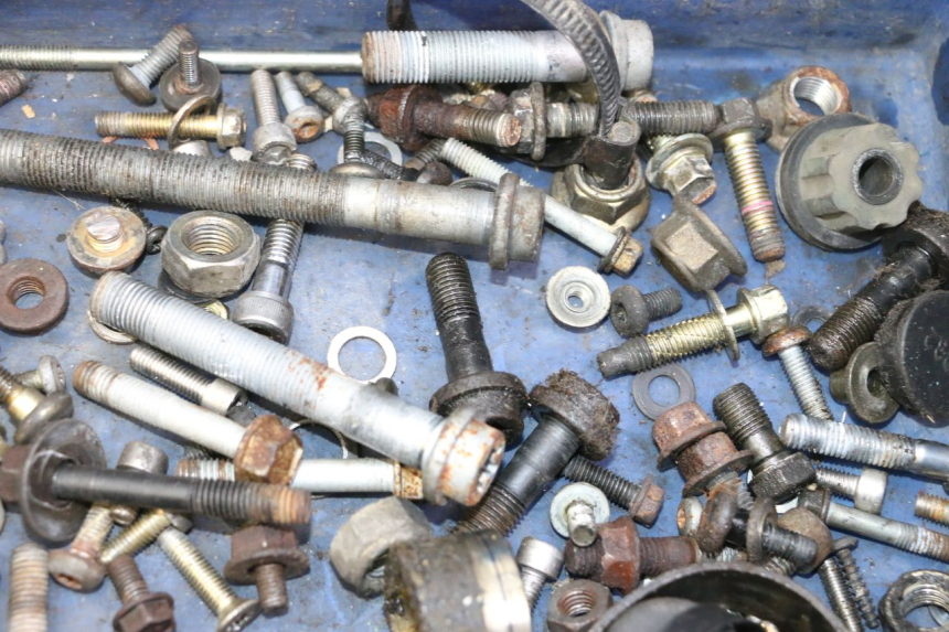 photo de SCREWS BAG TRIUMPH SPRINT 900 (1995 - 1998)