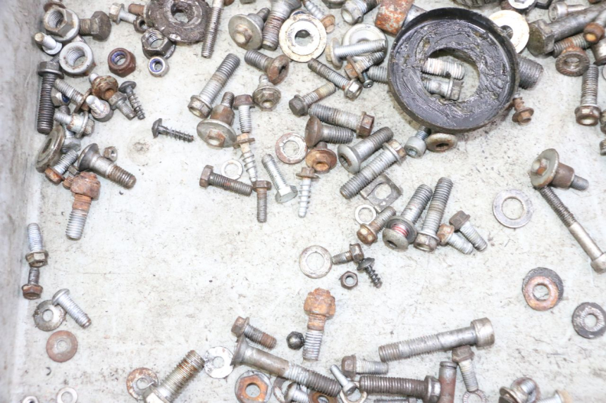 photo de SCREWS BAG KTM SUPERENDURO R 950 (2005 - 2009)
