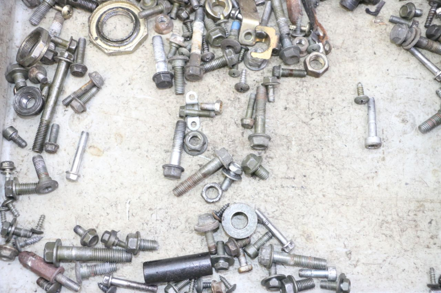 photo de SCREWS BAG PEUGEOT TWEET PRO CARGO 50 (2018 - 2020)