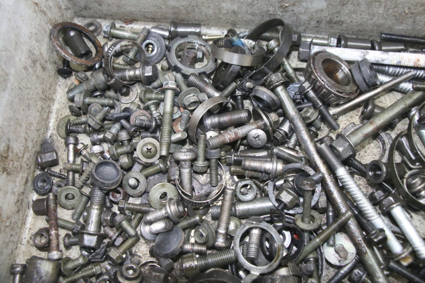 photo de SCREWS BAG YAMAHA FZS FAZER 600 (2001 - 2003)