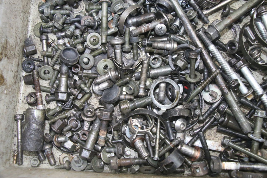 photo de SCREWS BAG YAMAHA FZS FAZER 600 (2001 - 2003)