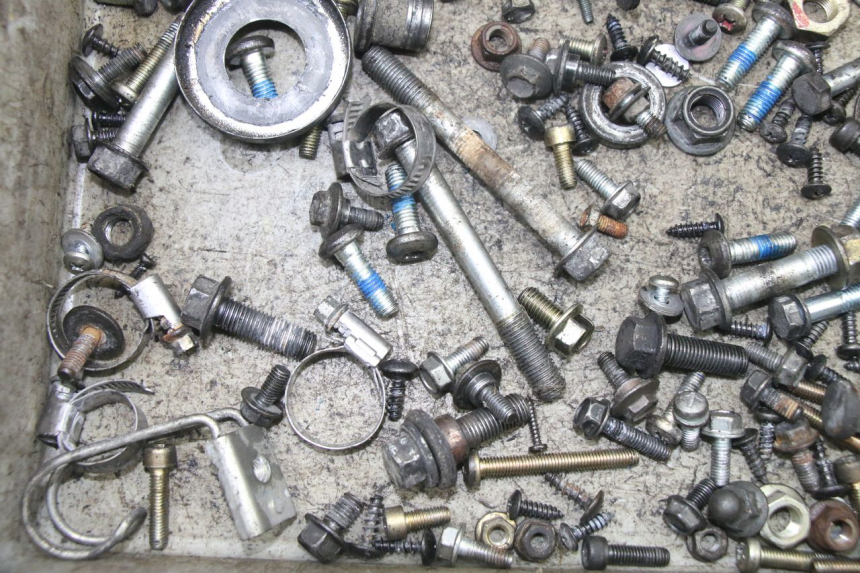 photo de SCREW FASTENER BAG YAMAHA YP MAJESTY 125 (2007 - 2010)