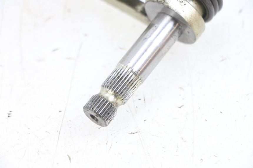 photo de SHIFTER MV AGUSTA BRUTALE R WALLY 910 (2008 - 2008) - Technical close-up