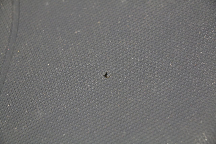 photo de SEAT KEEWAY F-ACT FACT 50 (2006 - 2011)