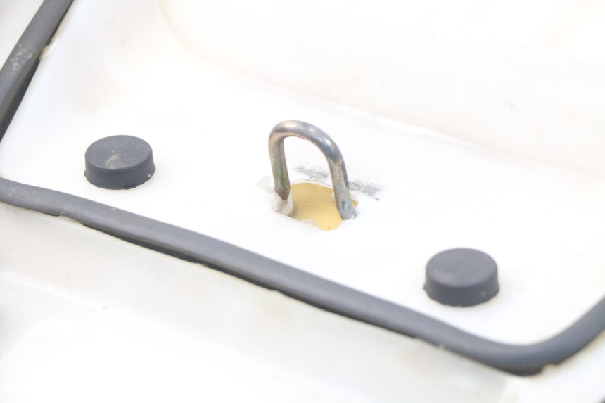 photo de SEAT TNT MOTOR ROMA 10' 4T 50 (2019 - 2022)