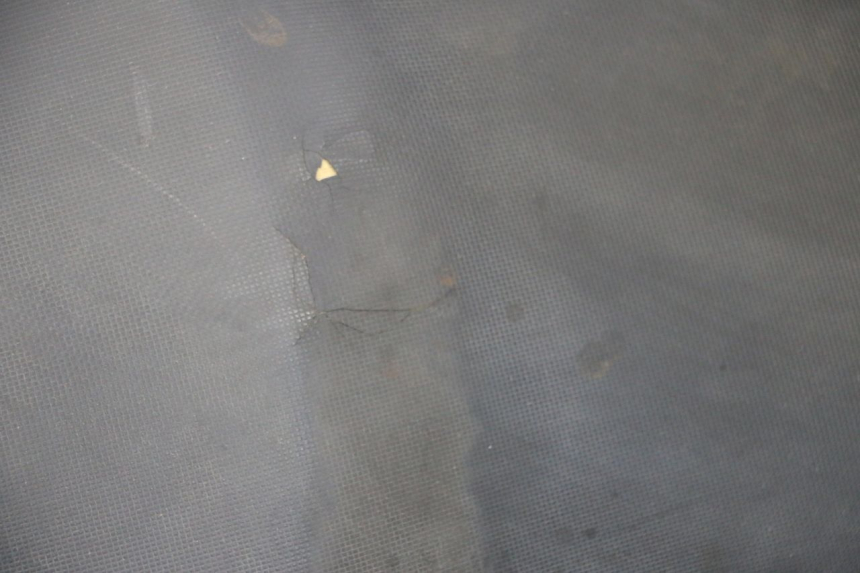 photo de SEAT DAELIM S1 125 (2007 - 2016) - Alternative perspective