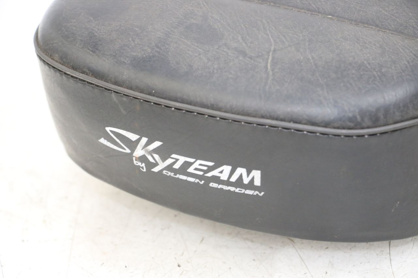 photo de SEAT SKYTEAM SKYMAX PRO 125 (2012 - 2016)