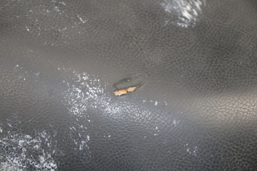 photo de SEAT PEUGEOT VIVACITY 125 (2010 - 2017)