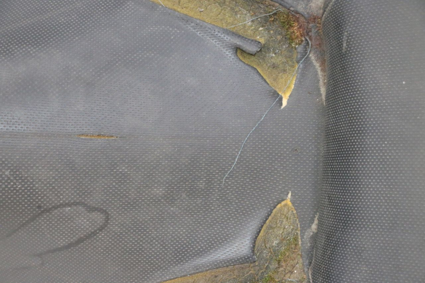 photo de SEAT YAMAHA X-CITY XCITY 125 (2007 - 2008)