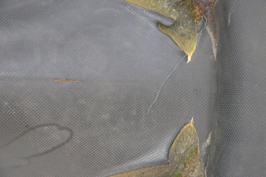 photo de SEAT YAMAHA X-CITY XCITY 125 (2007 - 2008)