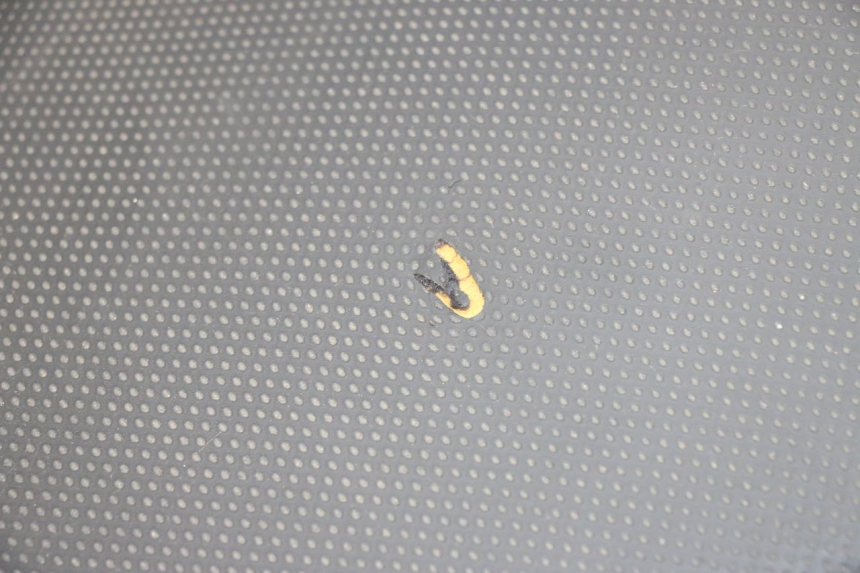 photo de SEAT YAMAHA XMAX X-MAX 125 (2006 - 2009) - Detailed visual inspection