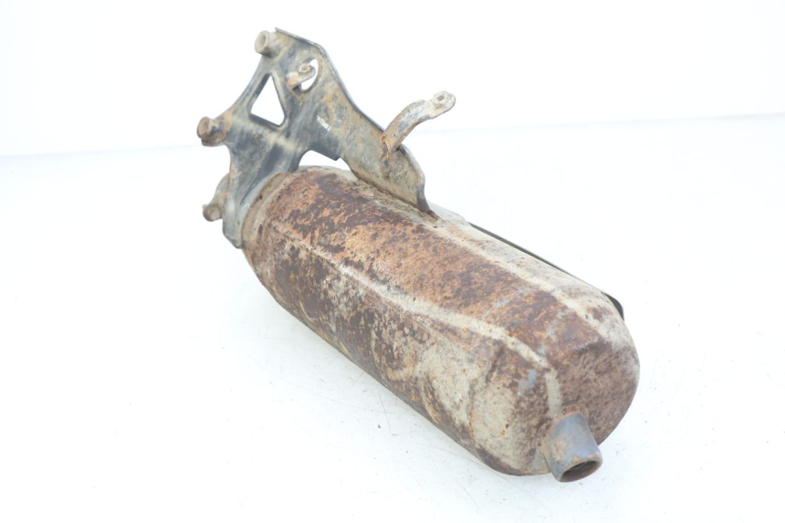 photo de EXHAUST SILENCER DAELIM S FIVE 2T 50 (2005 - 2009) - Product overview