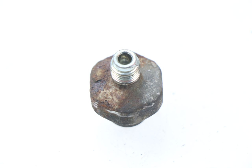photo de SENSOR SUZUKI BURGMAN 650 (2002 - 2004)