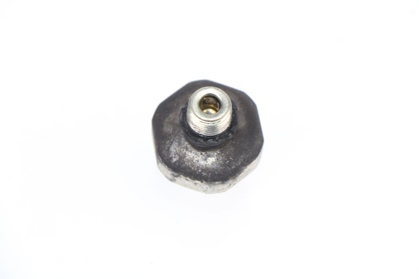 photo de OIL PRESSURE SENSOR HONDA CBF N 600 (2008 - 2010)