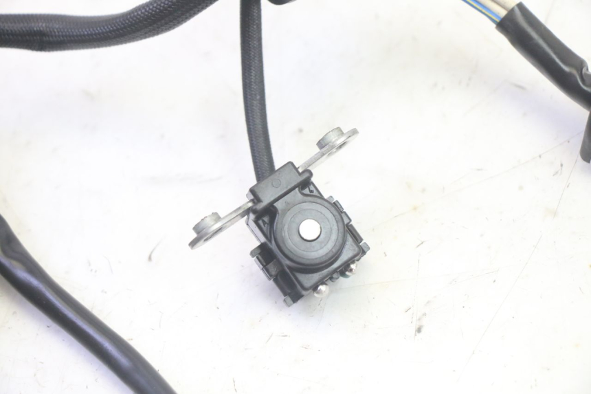 photo de STATOR YAMAHA TDM ABS 900 (2002 - 2014) - Technical close-up