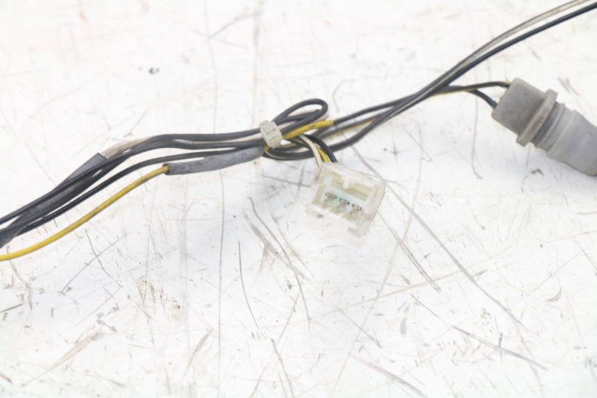 photo de BULB HOLDER PIAGGIO XEVO - X EVO 125 (2007 - 2016)