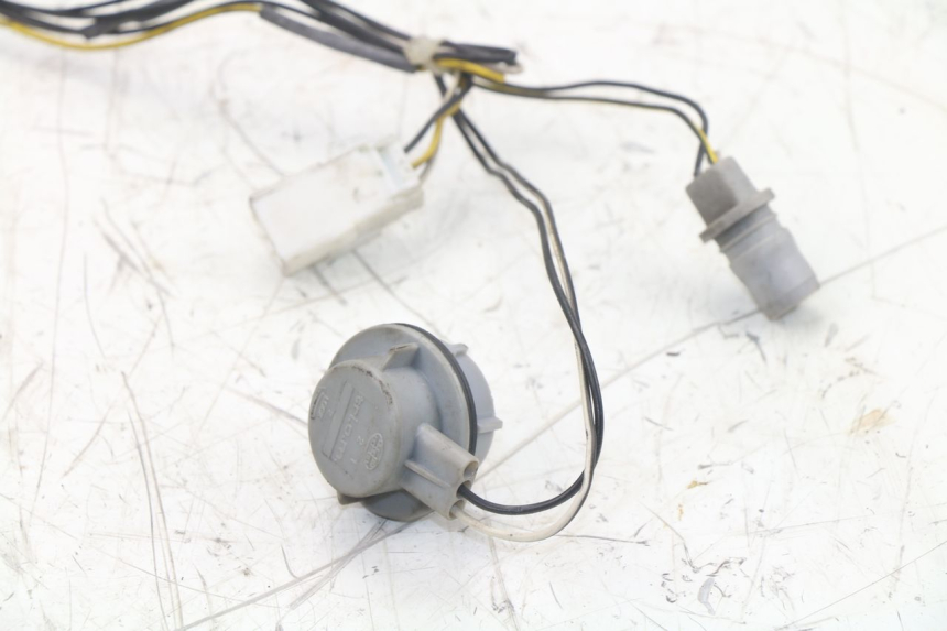photo de BULB HOLDER PIAGGIO XEVO - X EVO 125 (2007 - 2016)