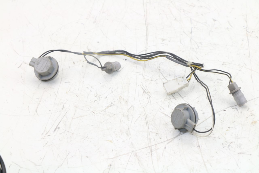 photo de BULB HOLDER PIAGGIO XEVO - X EVO 125 (2007 - 2016)