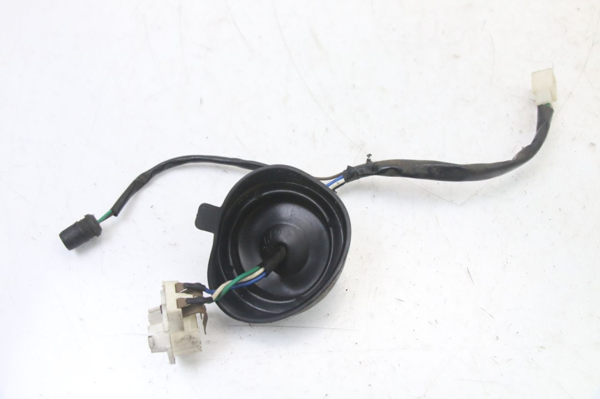 photo de BULB HOLDER TNT MOTOR ROMA 10' 2T 50 (2011 - 2018)